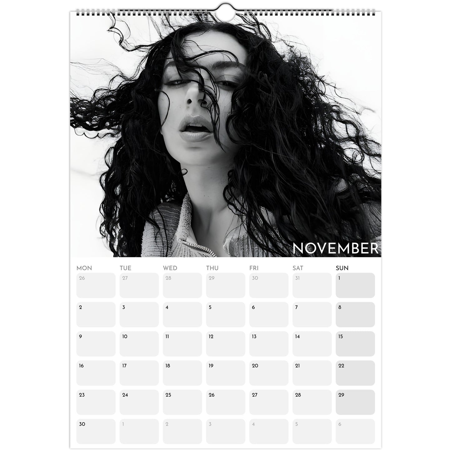 Charli XCX 2026 A3 wall calendar November