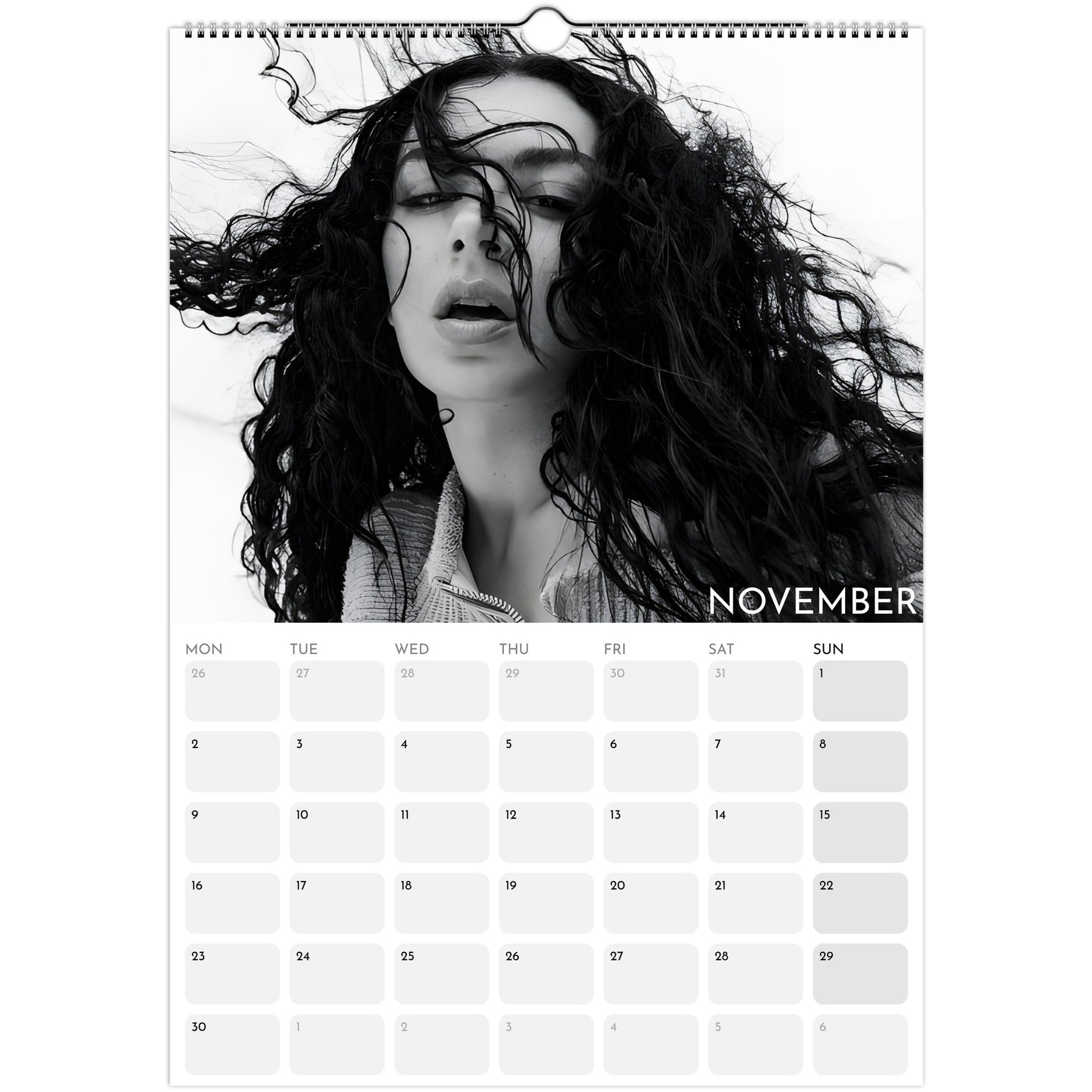 Charli XCX 2026 A3 wall calendar November