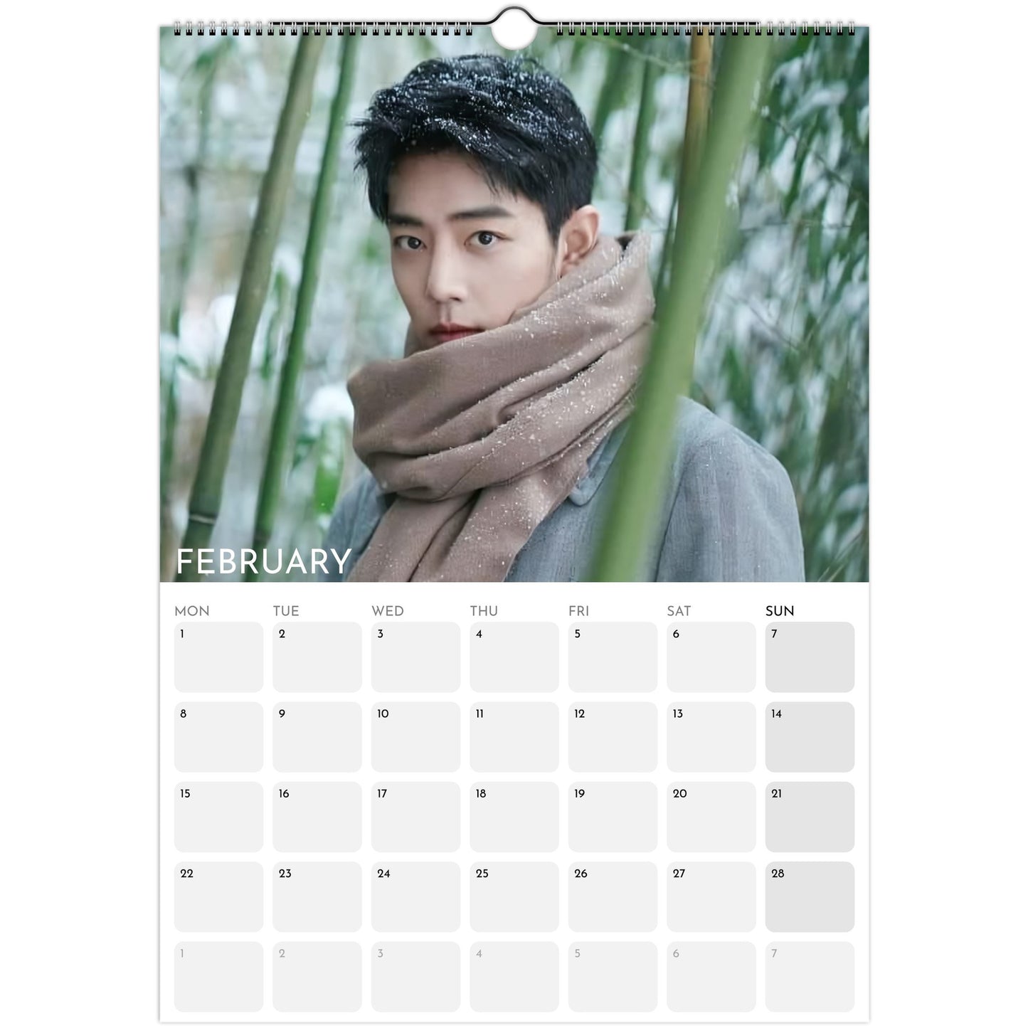 Xiao Zhan 2026 A3 wall calendar February
