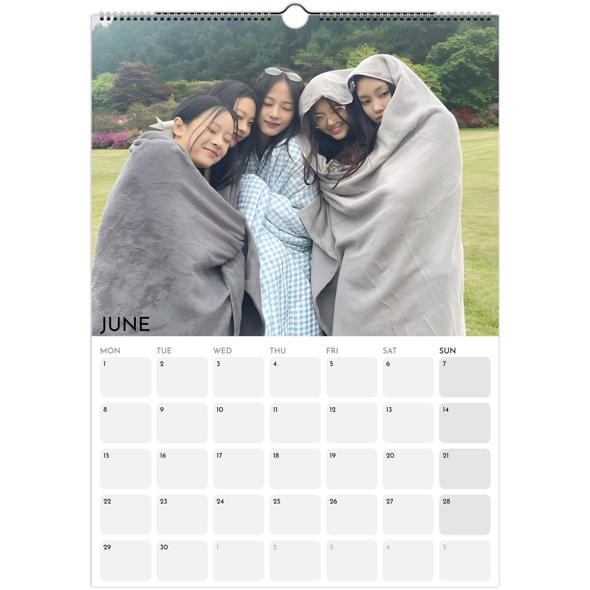 NewJeans 2026 A3 wall calendar June