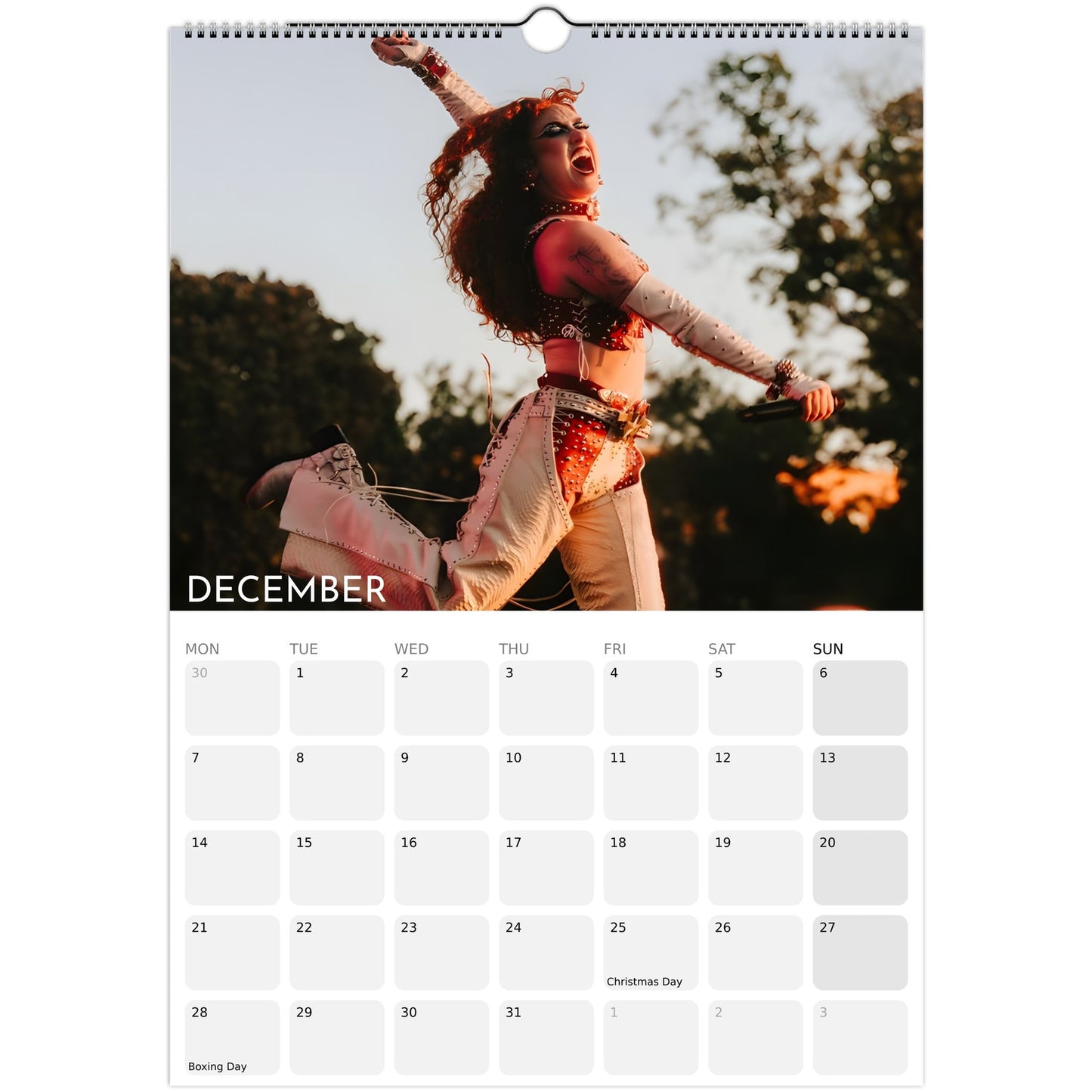 Chappell Roan 2026 A3 wall calendar December