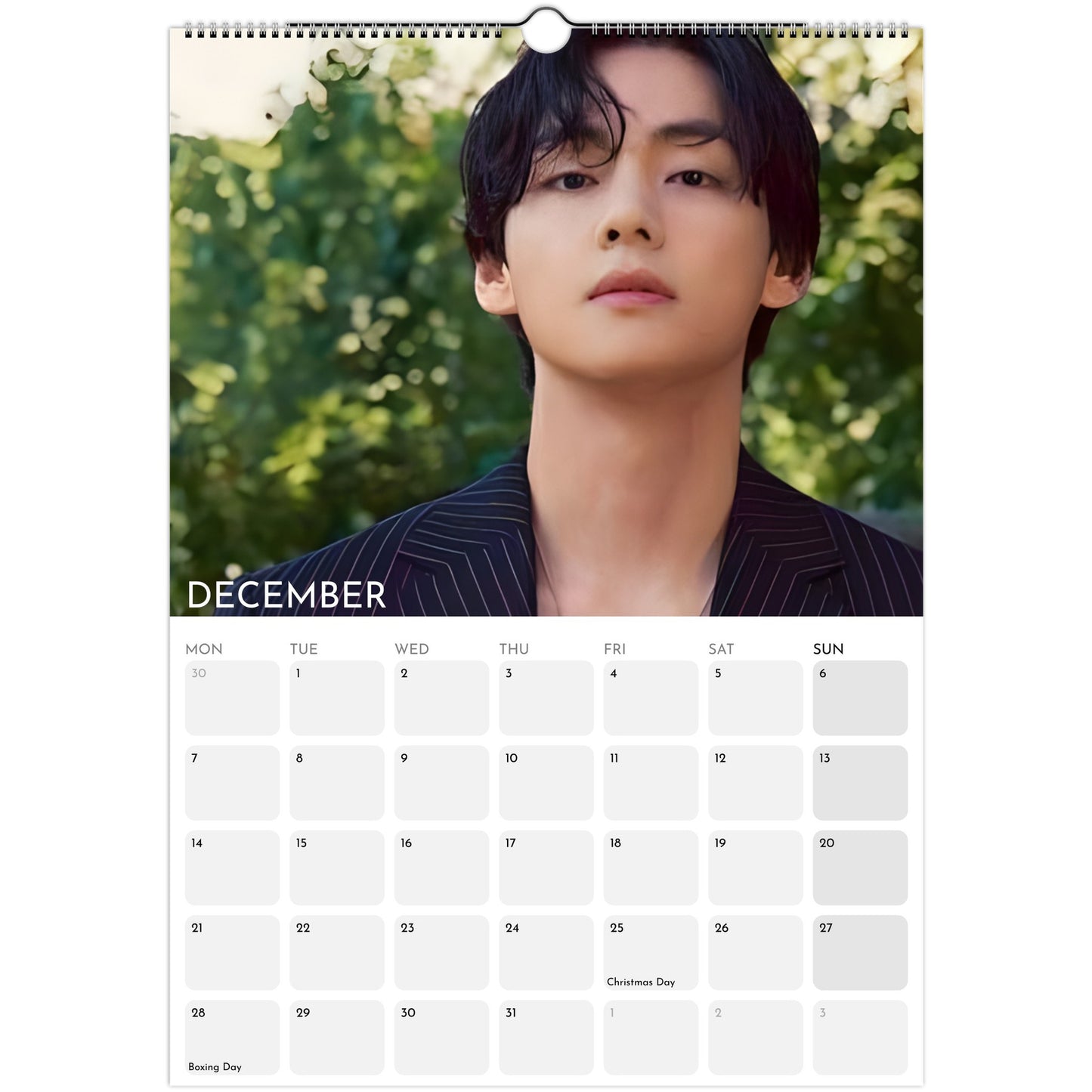 BTS V Kim Taehyung 2026 A3 wall calendar December