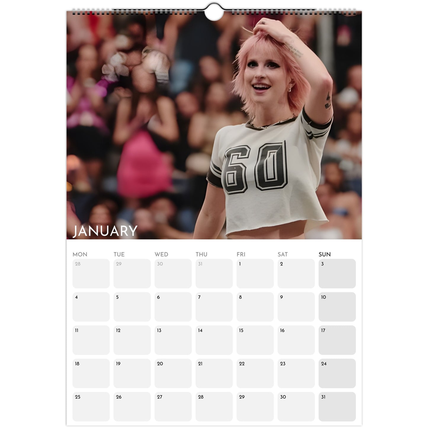 Paramore and Hayley Williams 2026 A3 wall calendar January 2027