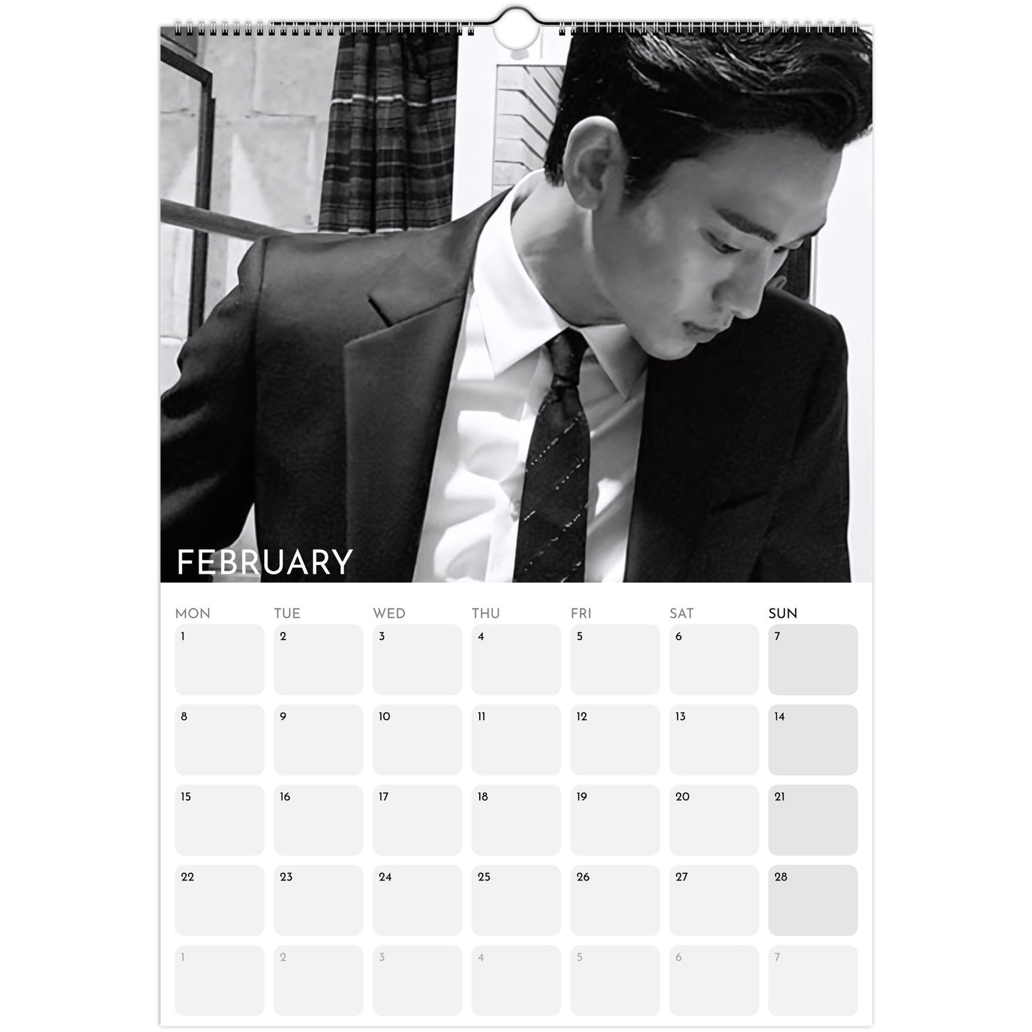 Kim Soo‑hyun 2026 A3 wall calendar February