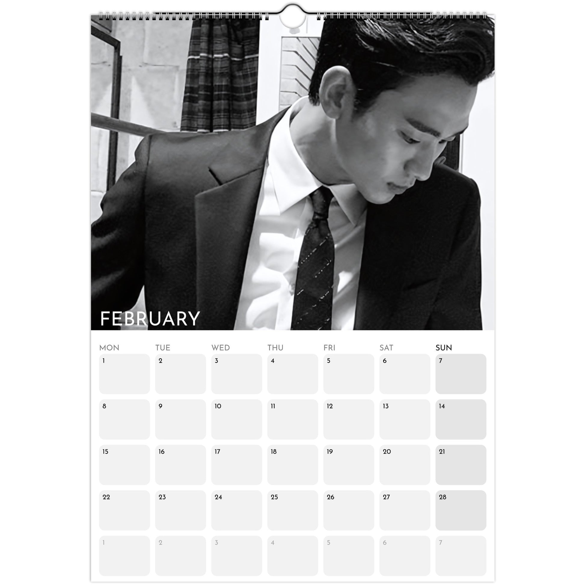 Kim Soo‑hyun 2026 A3 wall calendar February