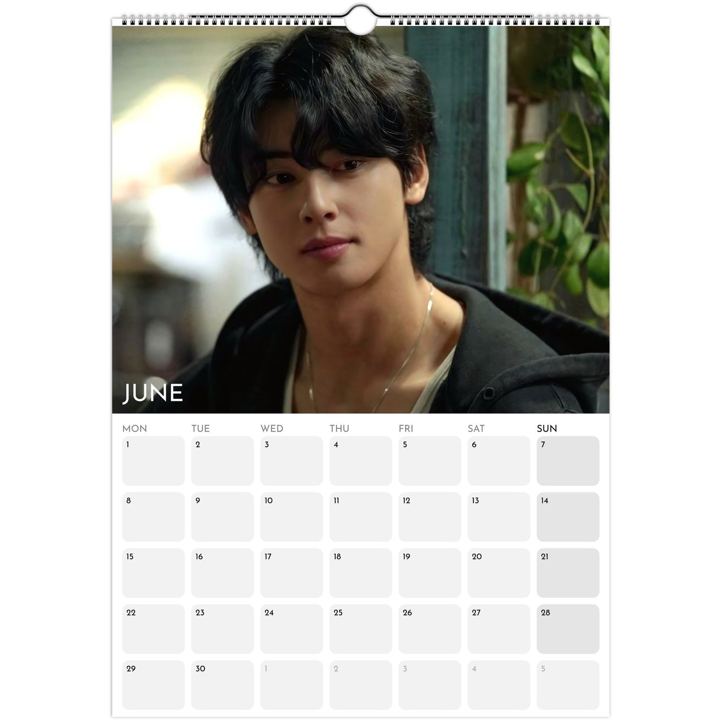 Cha Eun‑woo 2026 A3 wall calendar June