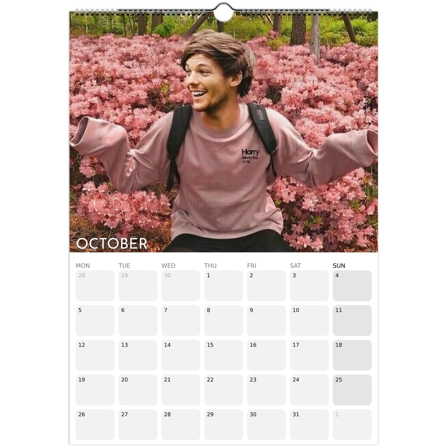 Louis Tomlinson 2026 A3 wall calendar October 2026