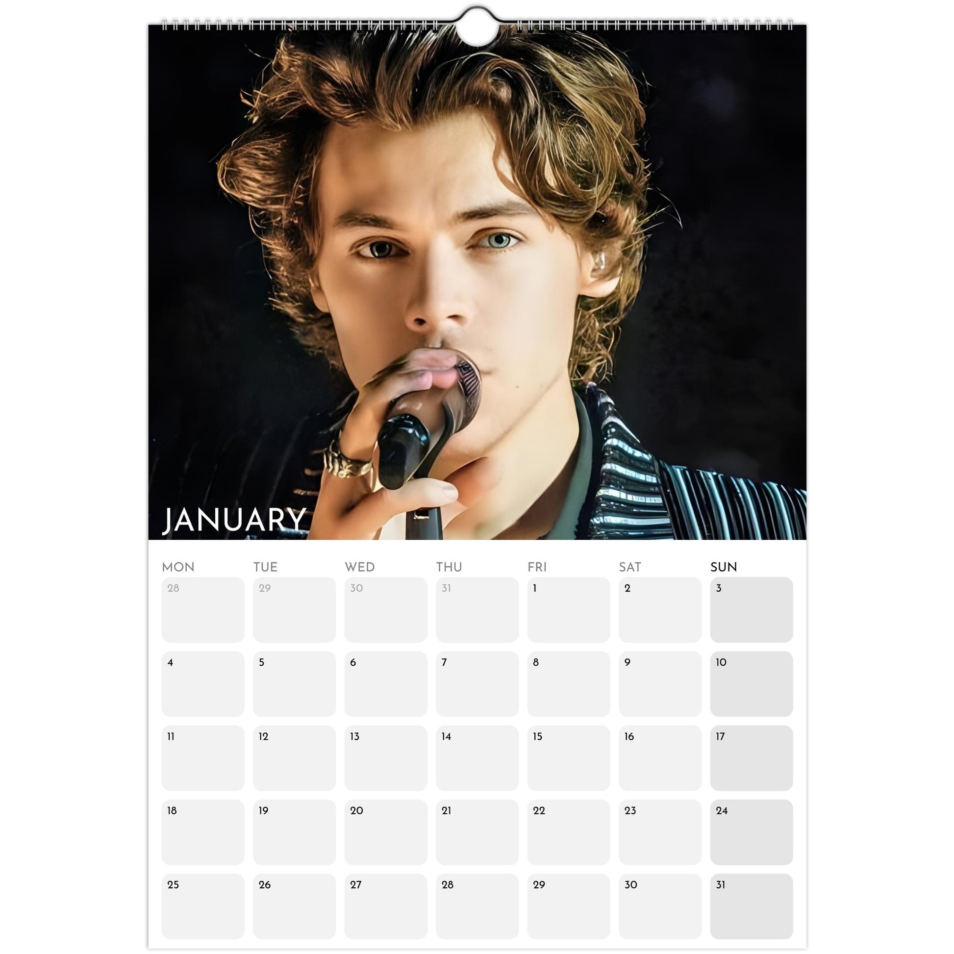 Harry Styles 2026 A3 wall calendar January 2027