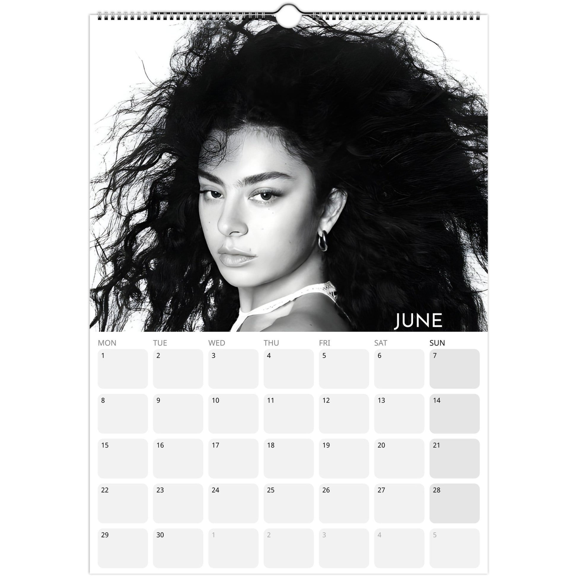 Charli XCX 2026 A3 wall calendar June