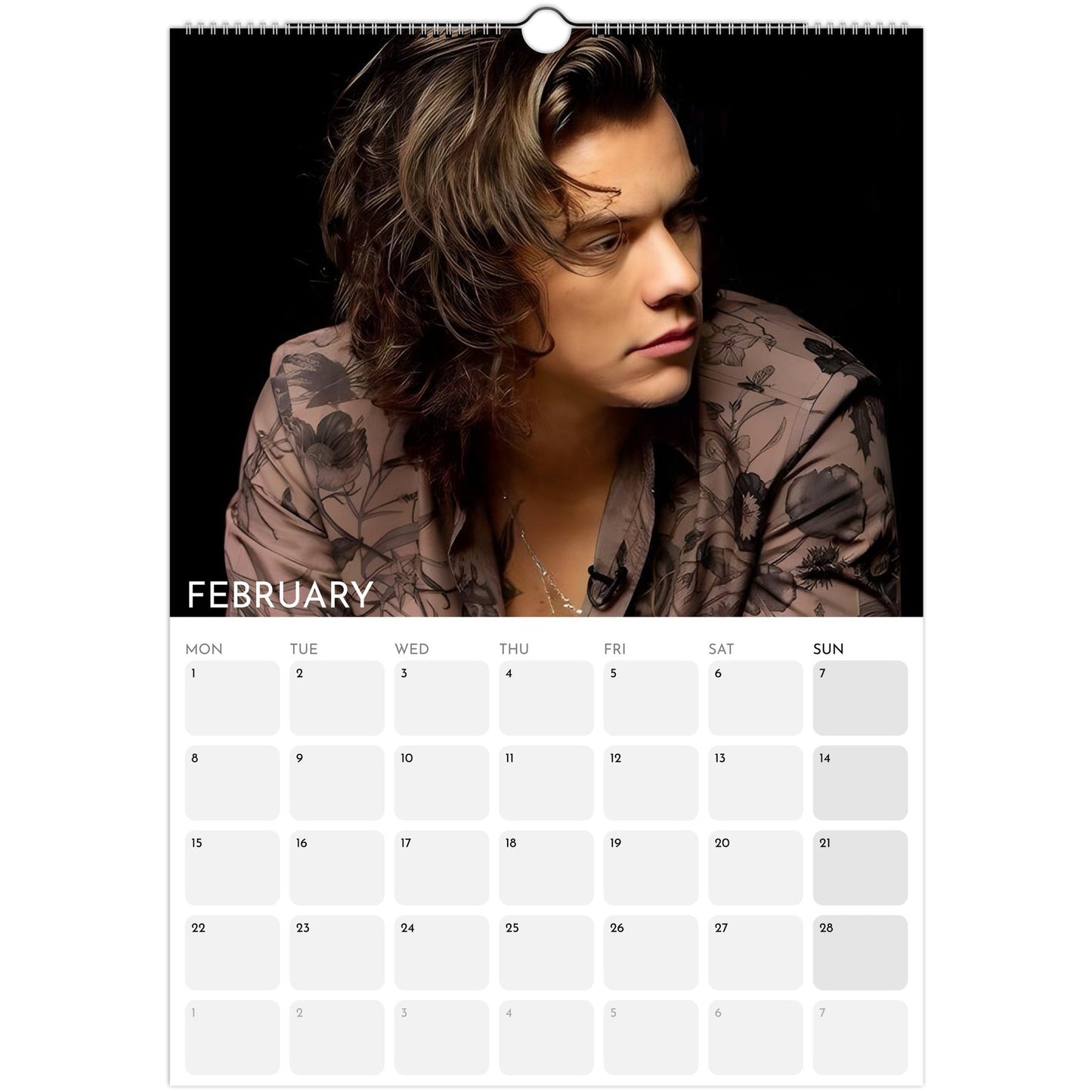 Harry Styles 2026 A3 wall calendar February 2027