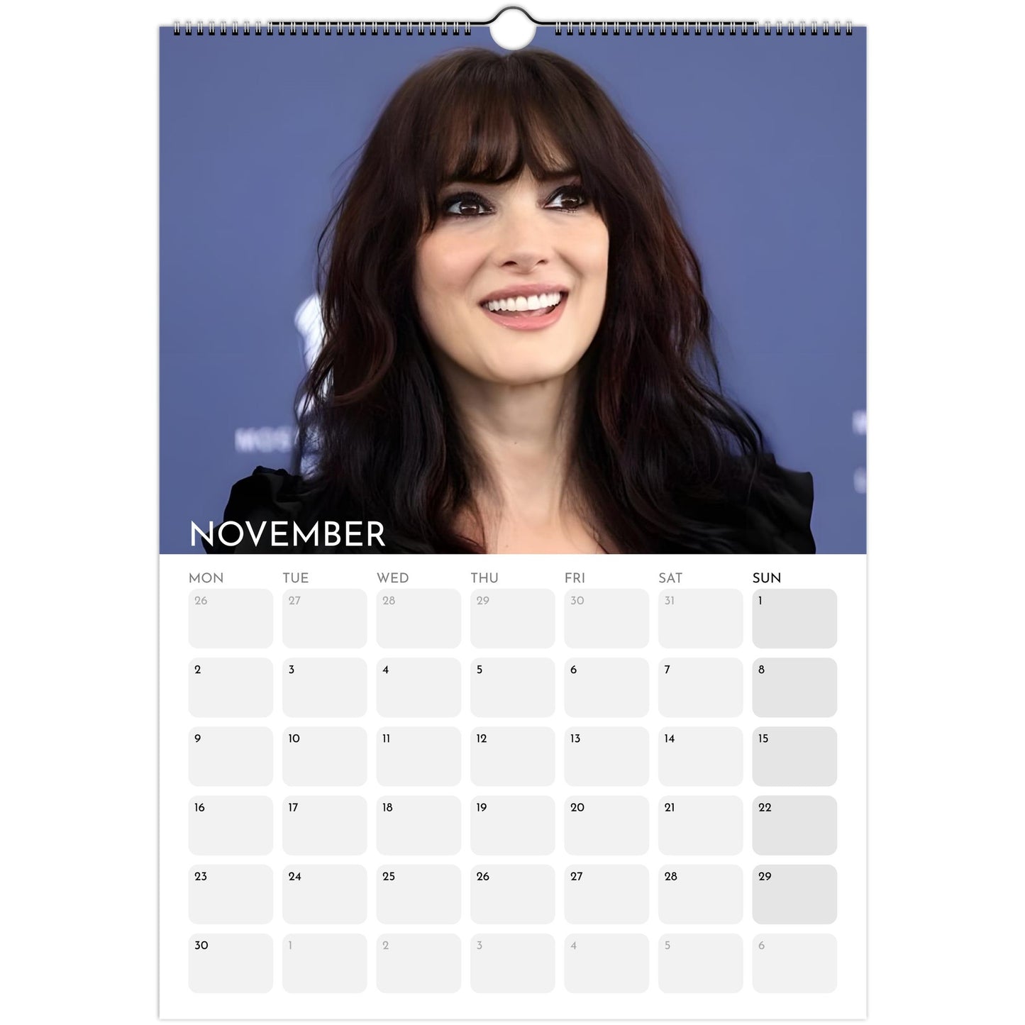 Stranger Things 2026 A3 wall calendar November